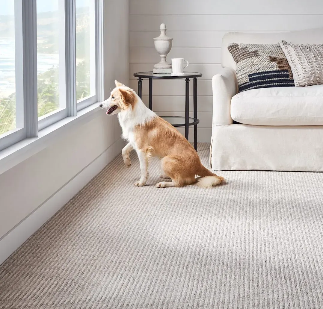 Floor Coverings International