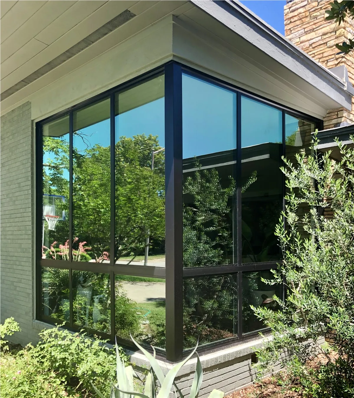 The Window Authority