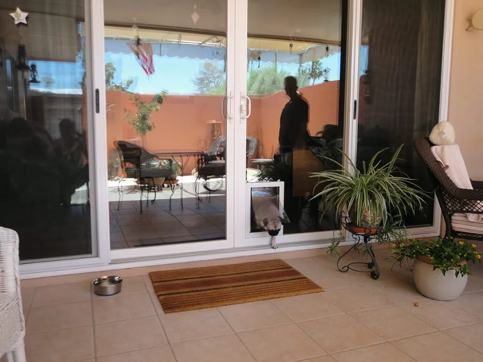 Desert King Windows