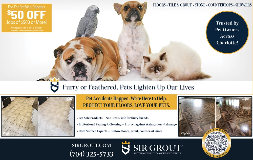 Pet-Friendly Grout Cleaning and Sealing