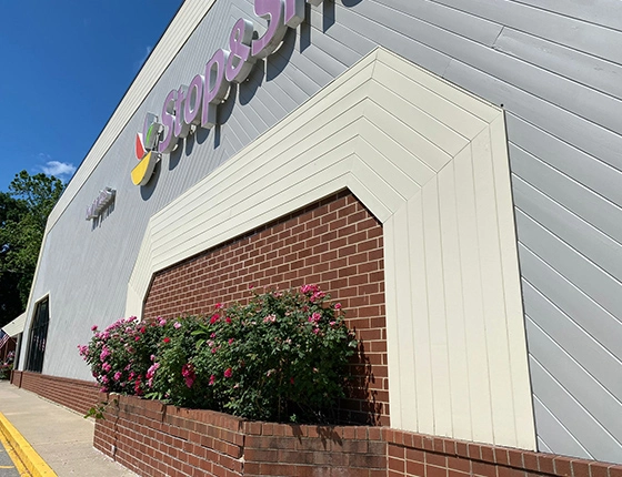 Adirson's Painting Inc.