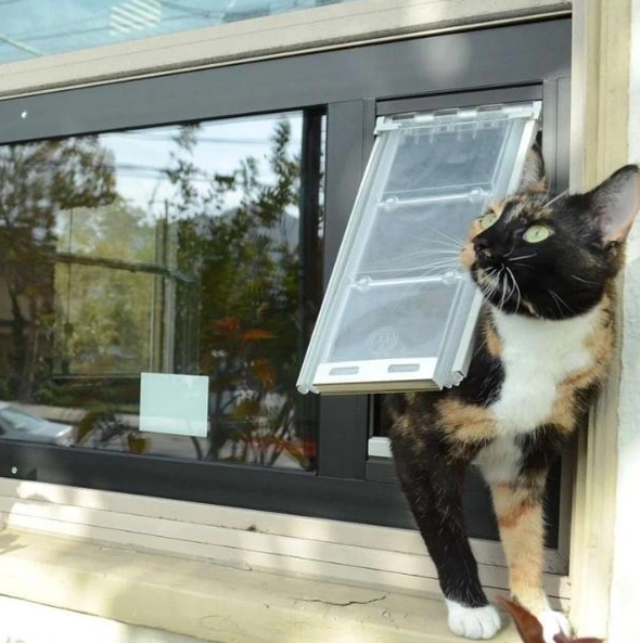 Treasure Valley Pet Doors
