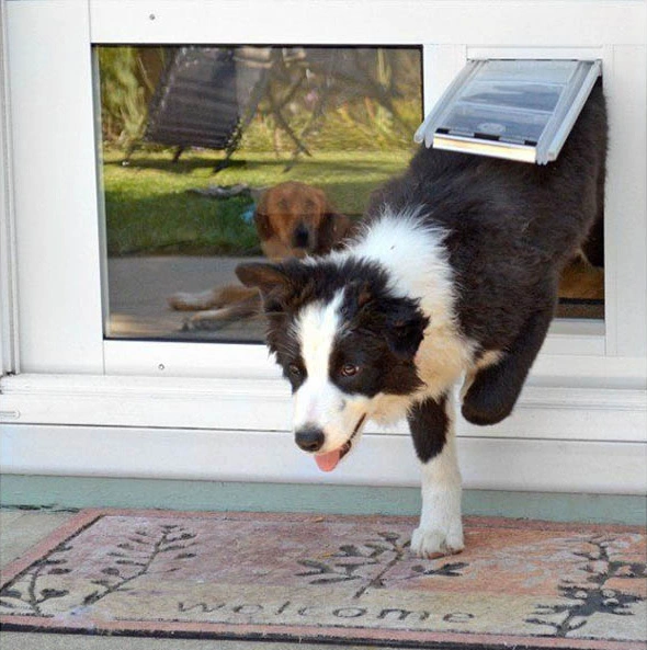 Treasure Valley Pet Doors