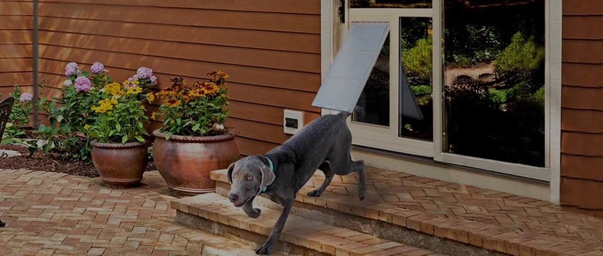 Treasure Valley Pet Doors
