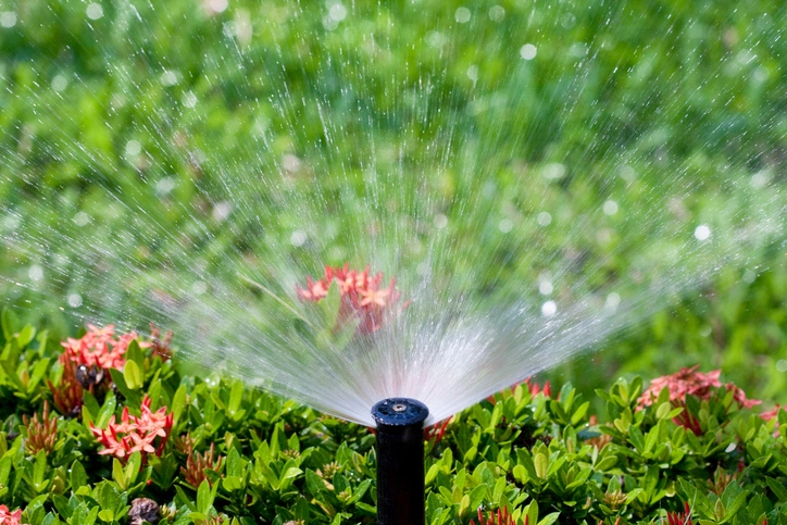 Cochran Landscape Management, Inc.