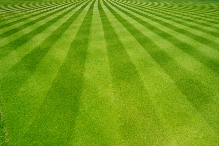 Cochran Landscape Management, Inc.
