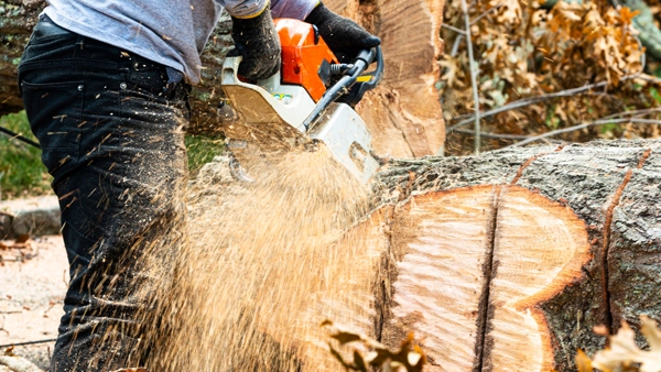 TruCo Enterprises (Tree Division)