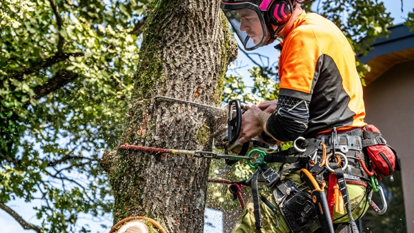 TruCo Enterprises (Tree Division)