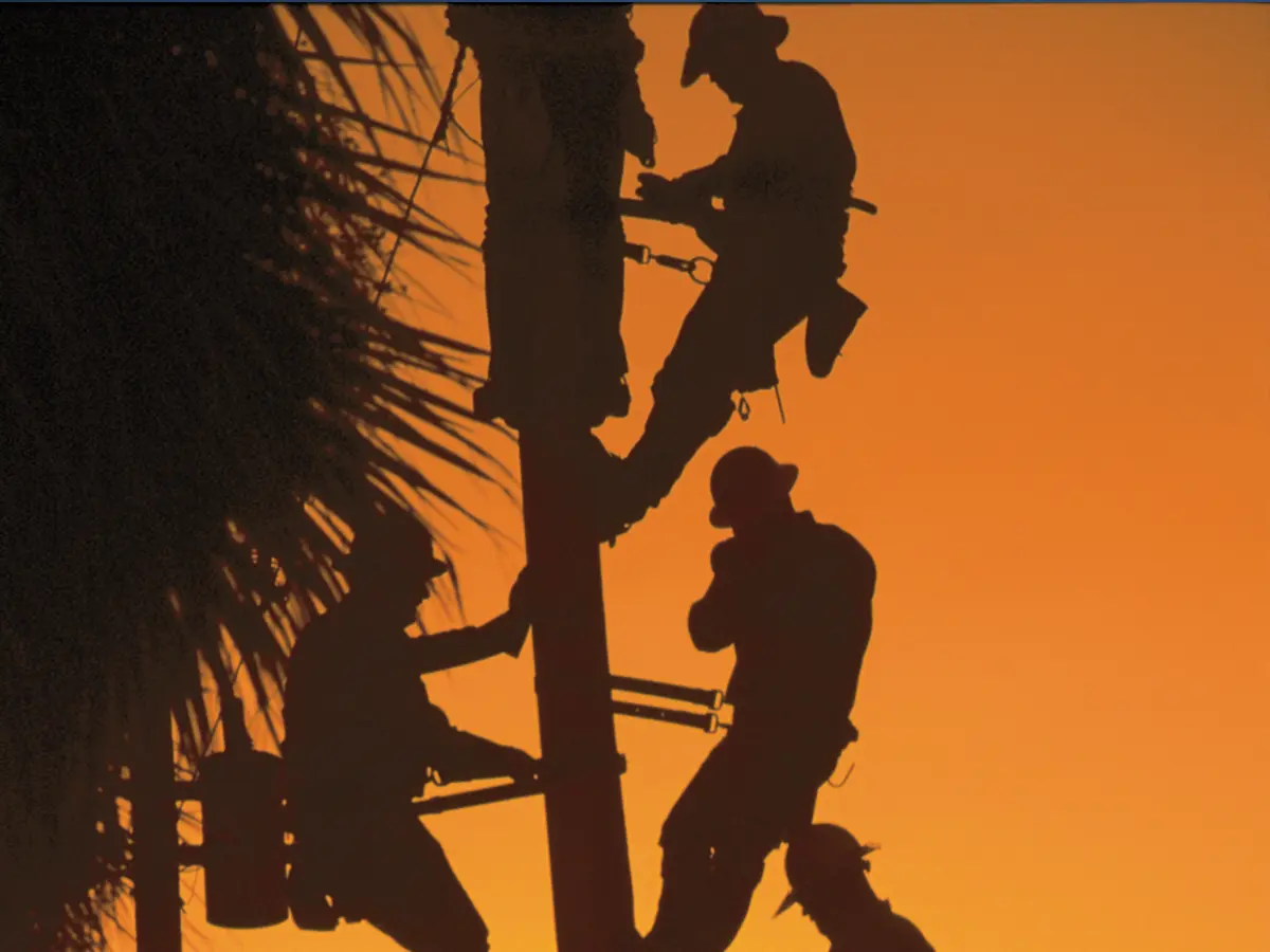 Lee County Electric Cooperative