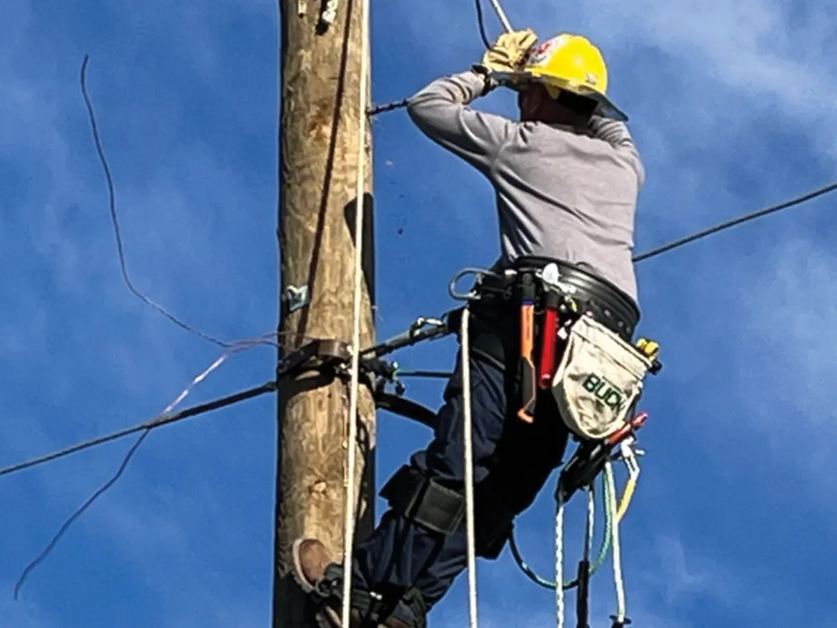 Lee County Electric Cooperative