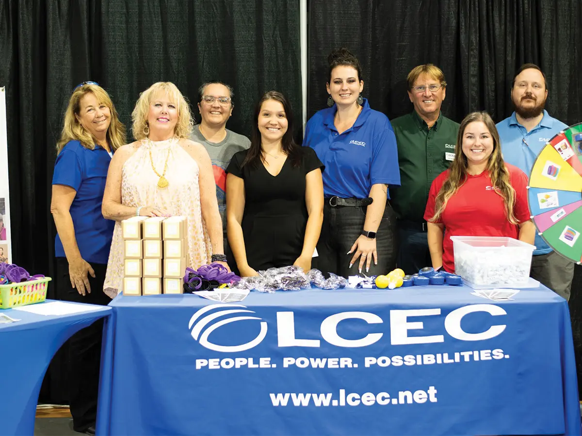 Lee County Electric Cooperative