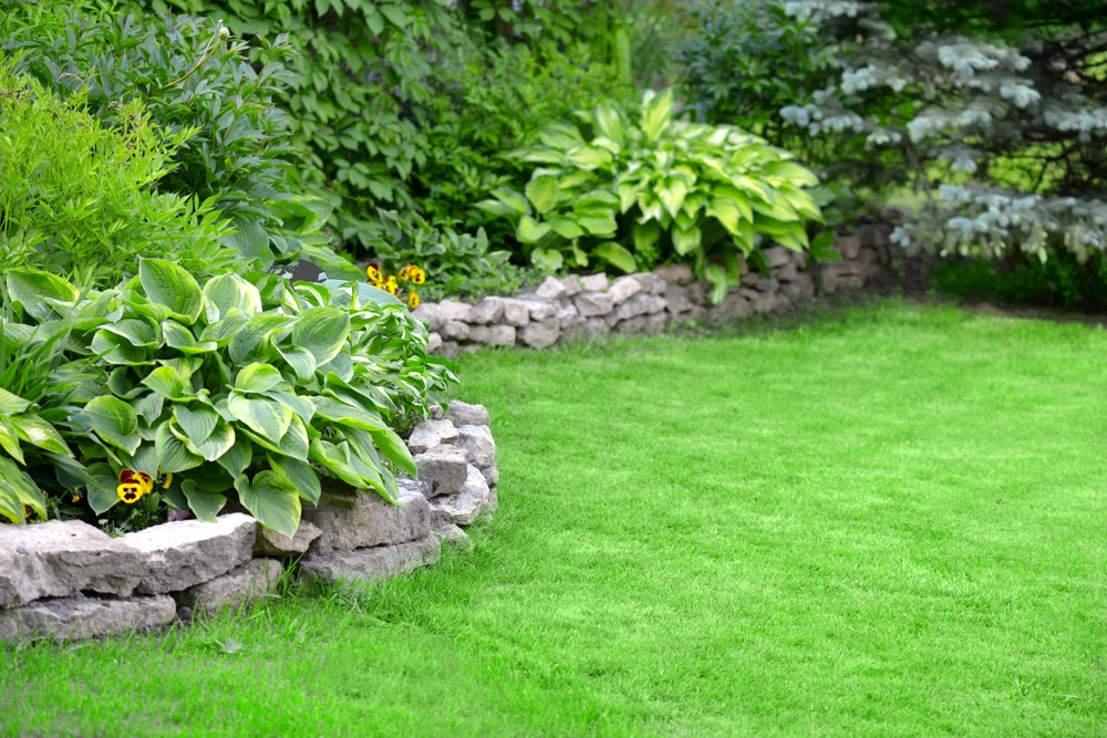 Spectrum Lawn & Tree Care