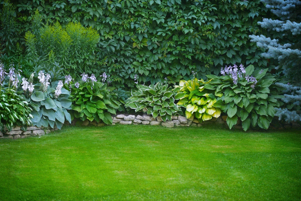 Spectrum Lawn & Tree Care