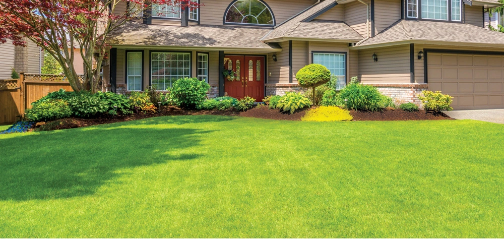 Spectrum Lawn & Tree Care