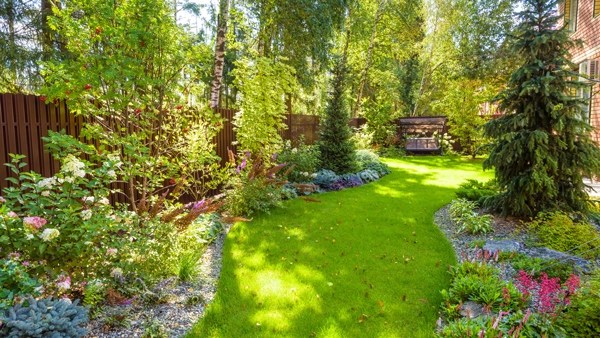 Ascend Landscape, Fence & Irrigation
