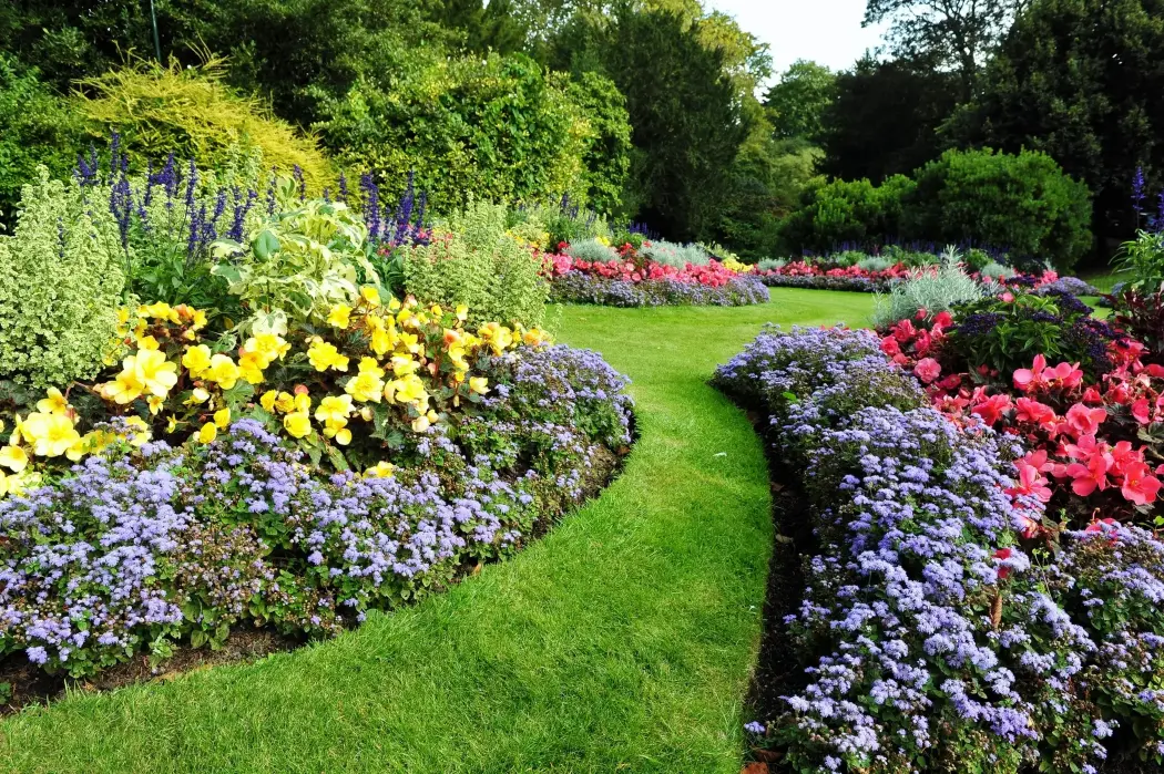 Forest Landscape and Nursery