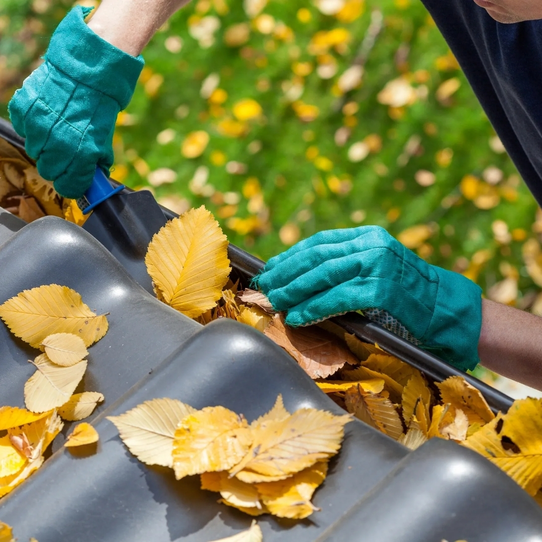 Gutters Unlimited Plus