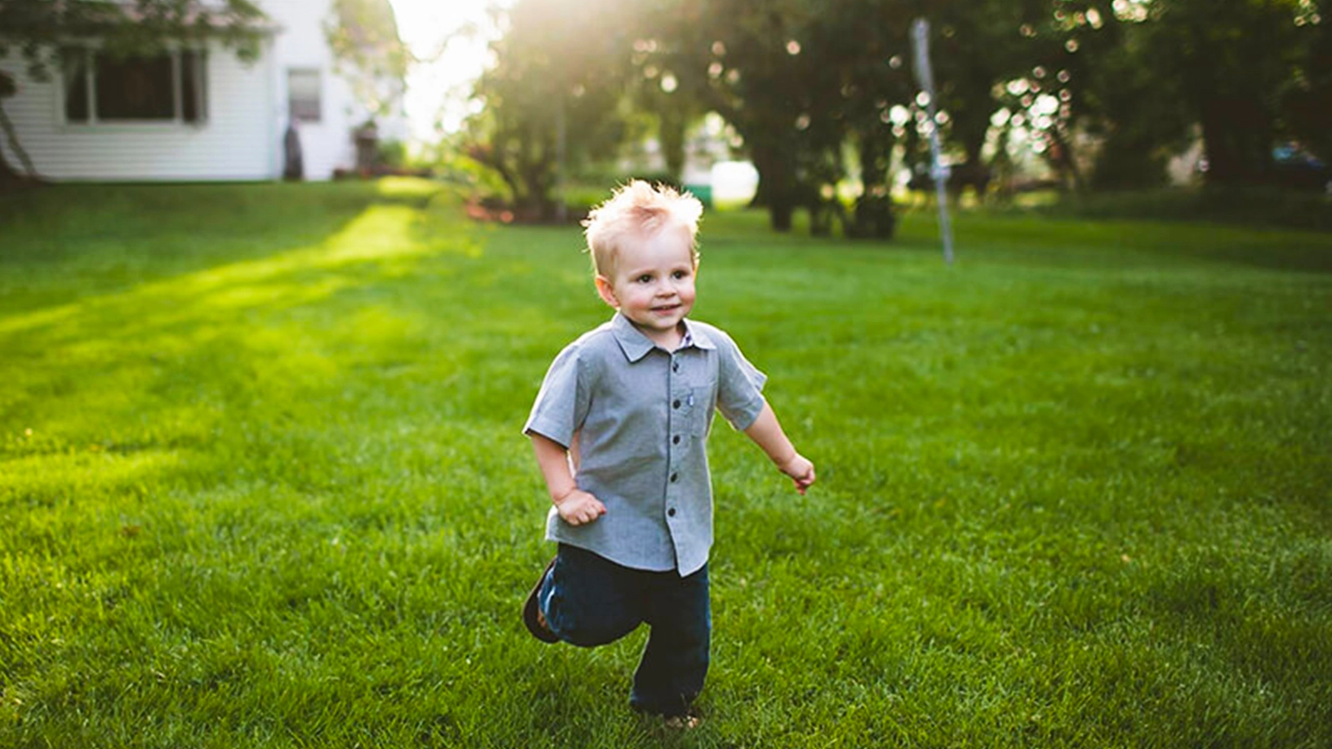 Lawn Doctor