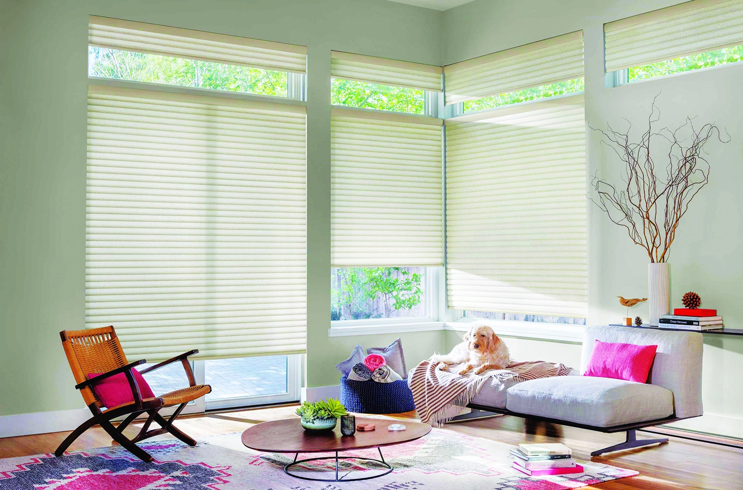 Blinds at Home
