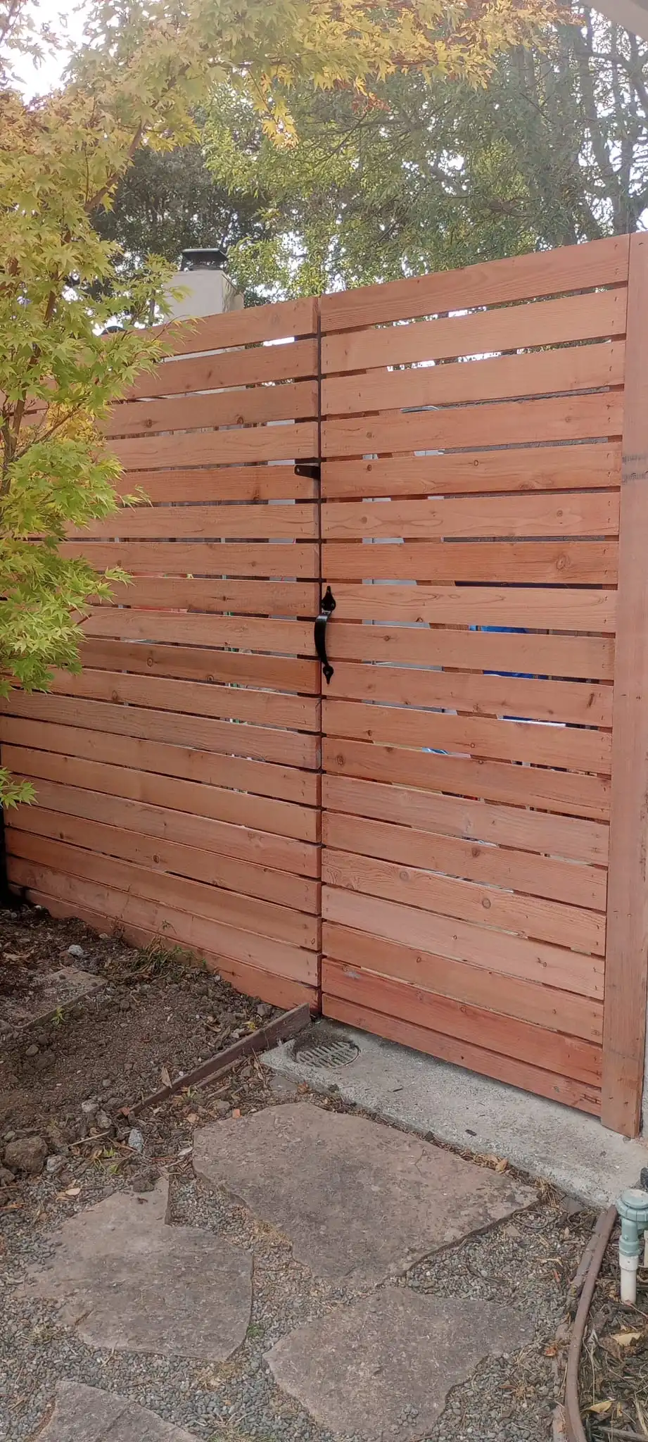 Meza's Fence