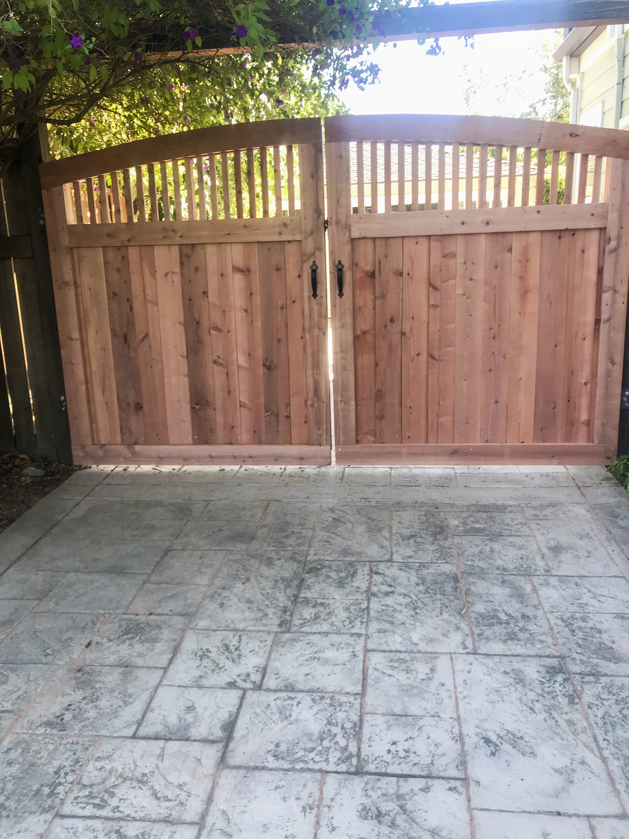 Meza's Fence