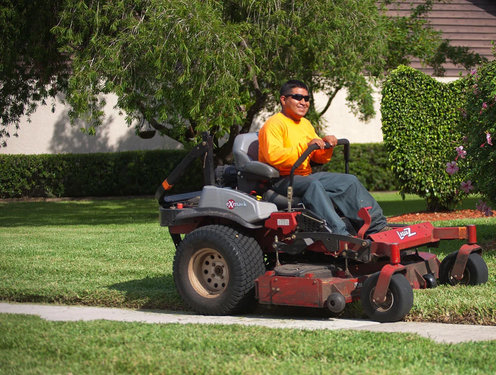 Alexander's Property Maintenance Tree Division