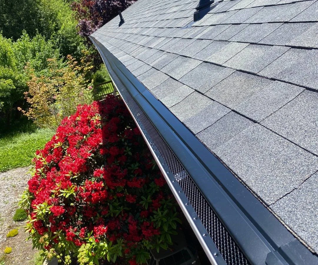 Ibex Roof