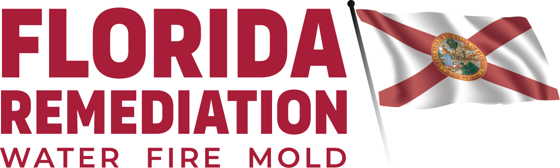 Florida Remediation Pros