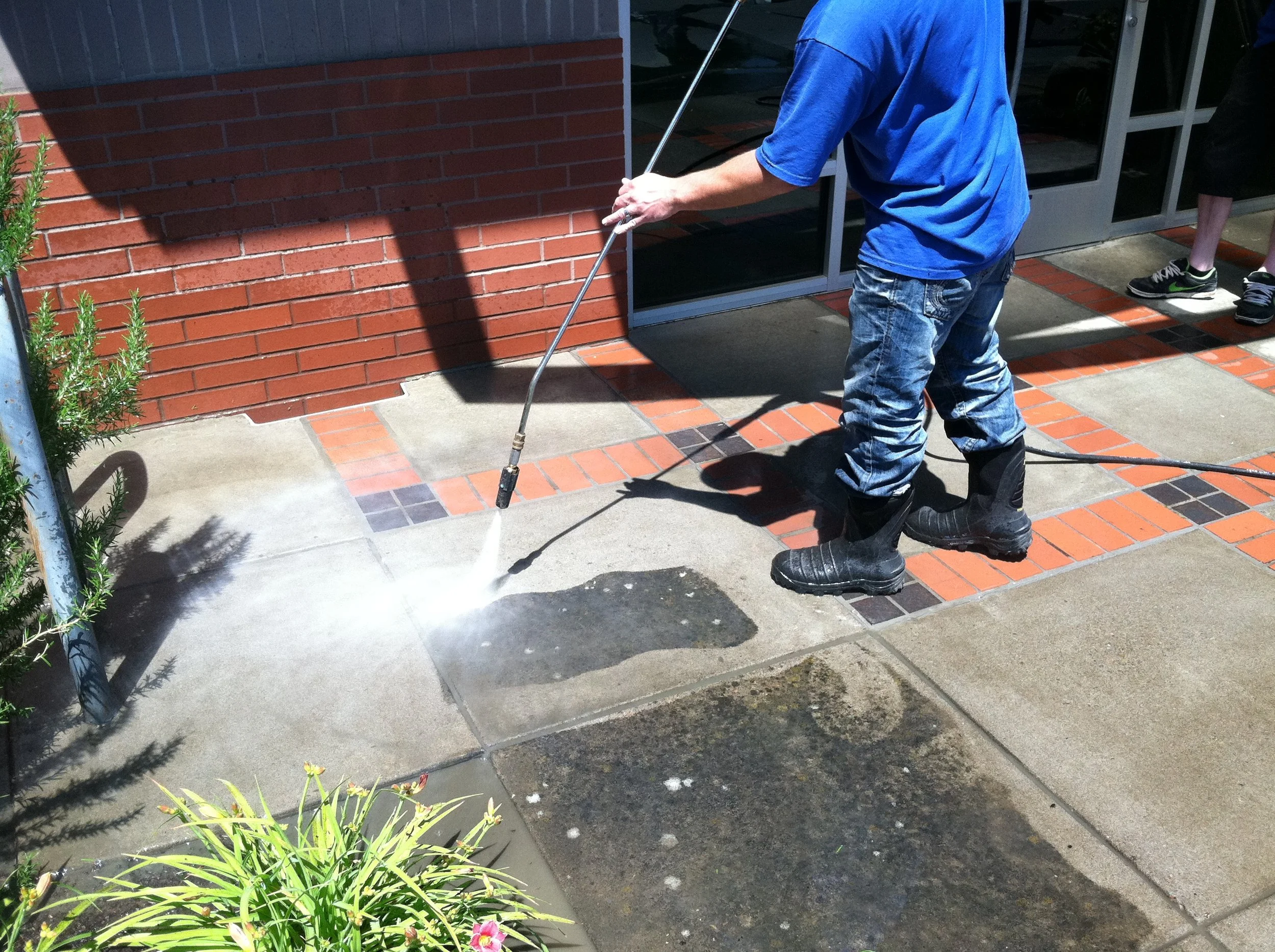 Ambassador Window Cleaning