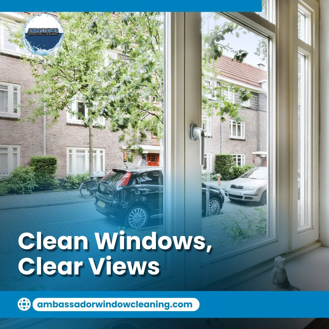 Ambassador Window Cleaning