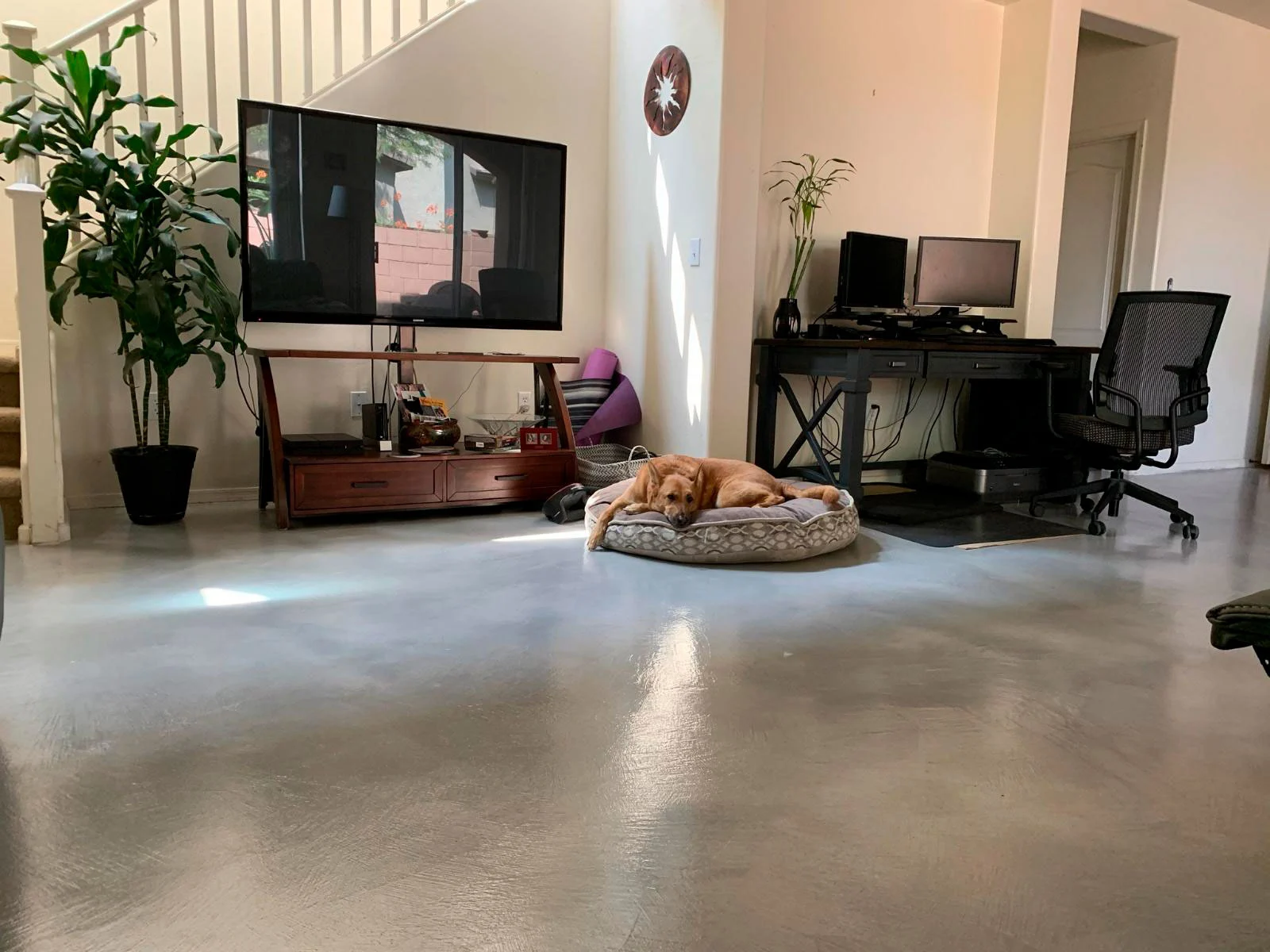 Cimaco Floor Service