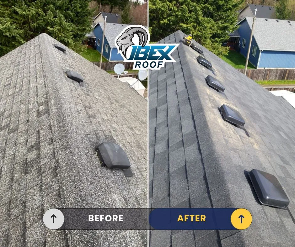Ibex Roof