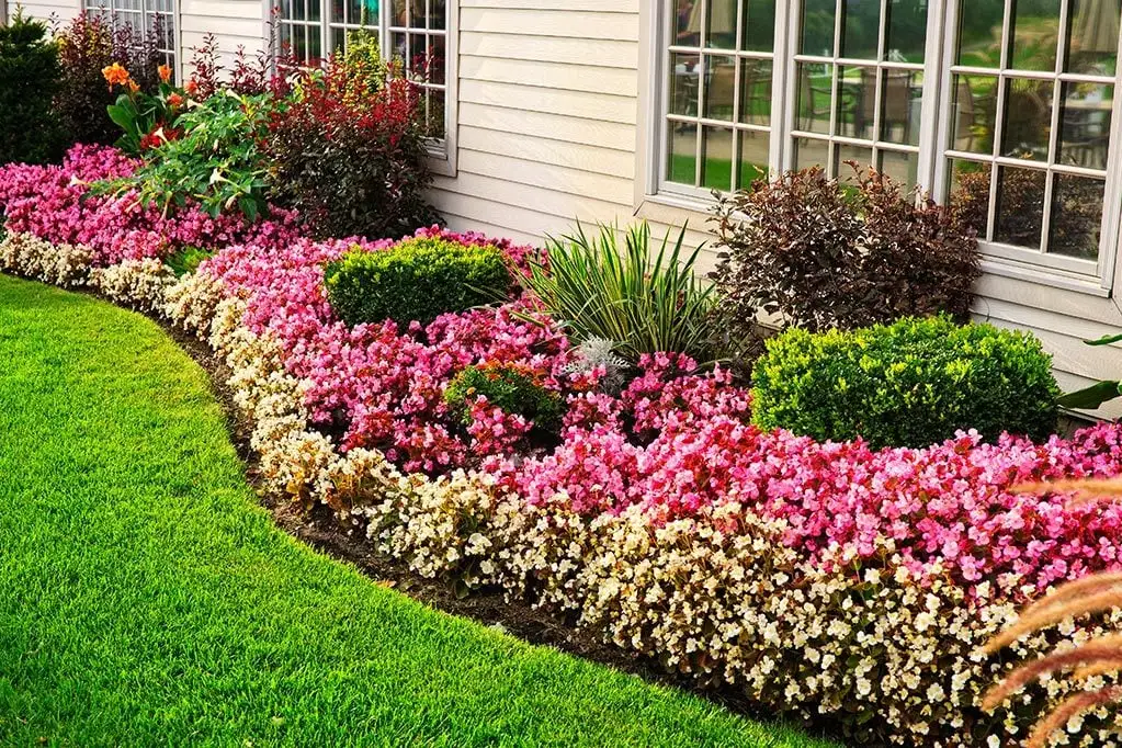Moyers Lawn Service & Landscaping