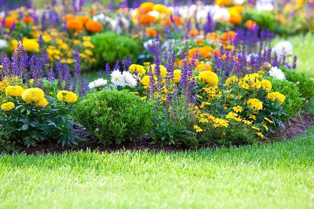 Moyers Lawn Service & Landscaping