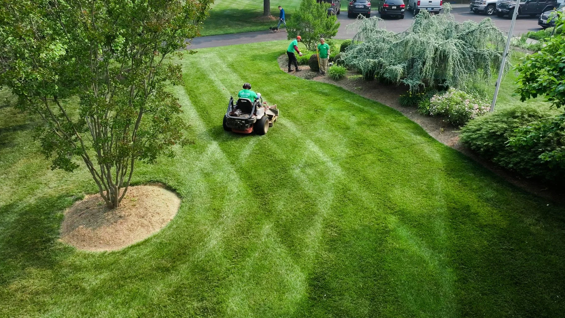 Moyers Lawn Service & Landscaping