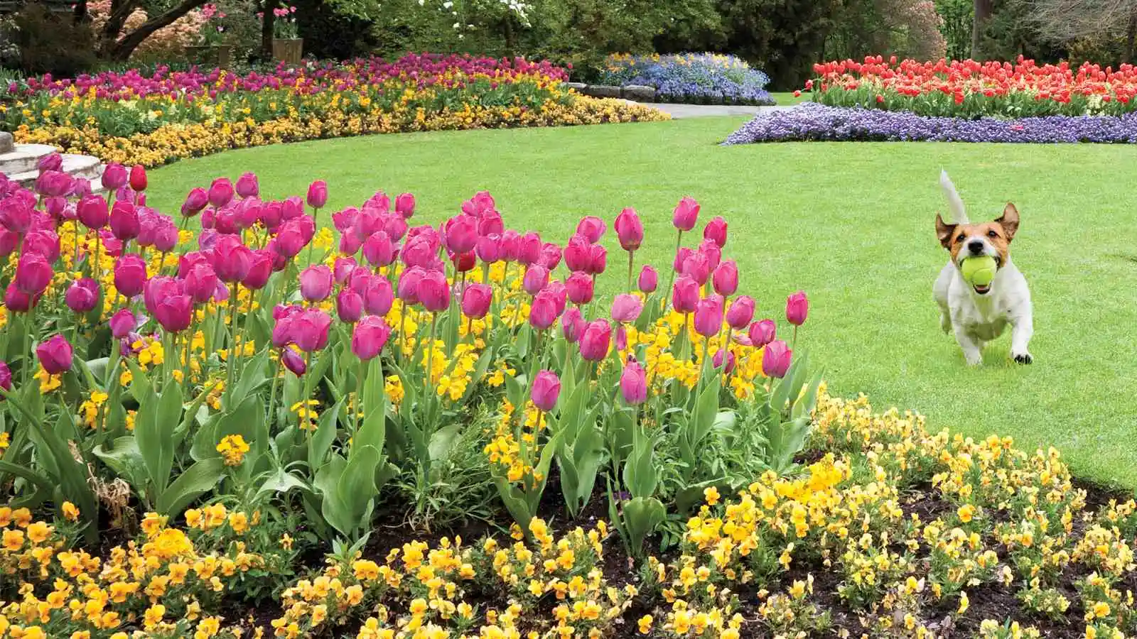 Moyers Lawn Service & Landscaping