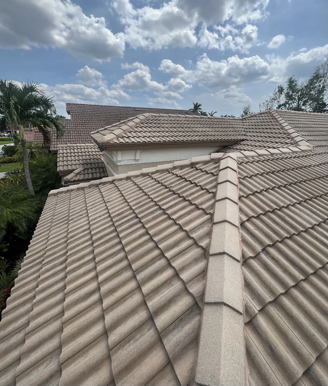 Florida Clean Roof