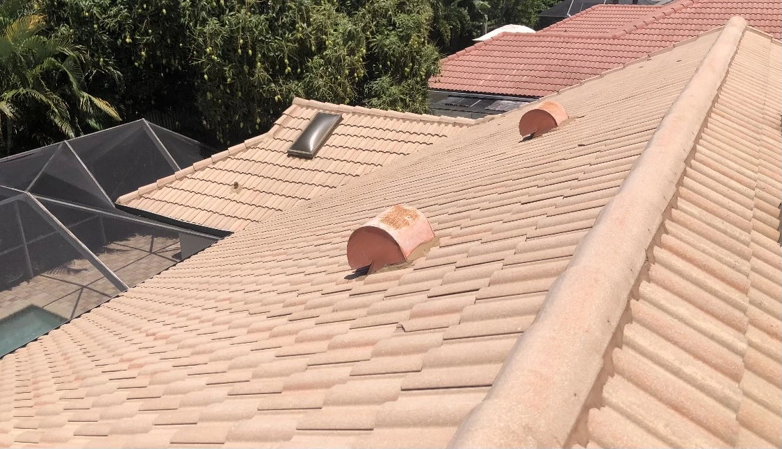 Florida Clean Roof