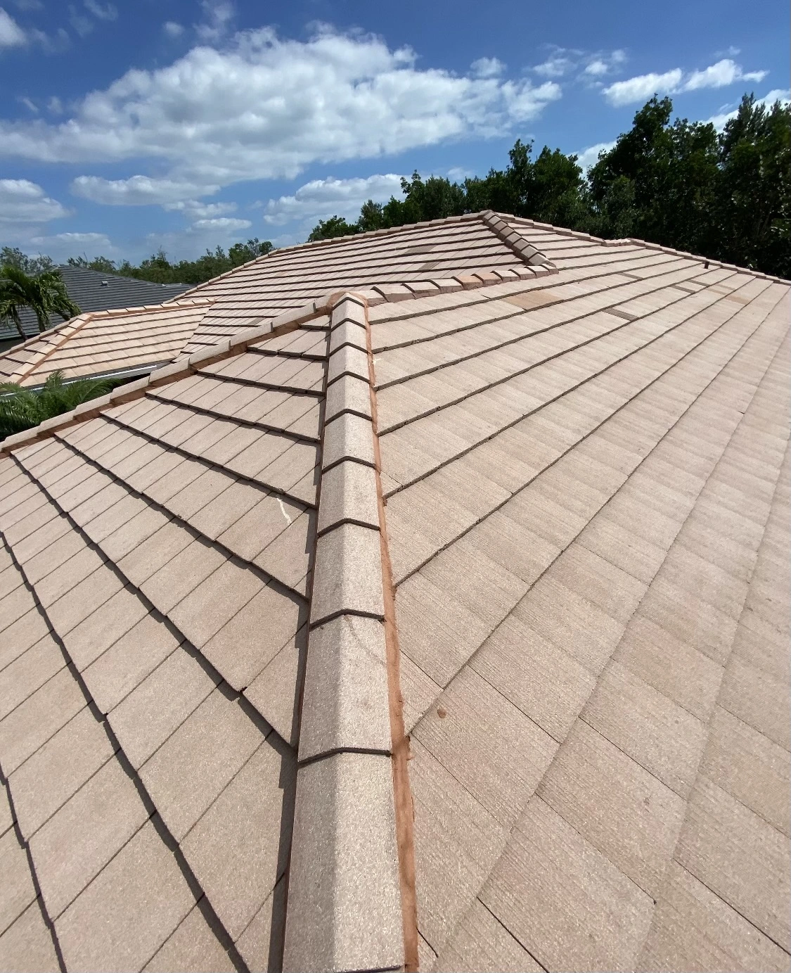Florida Clean Roof