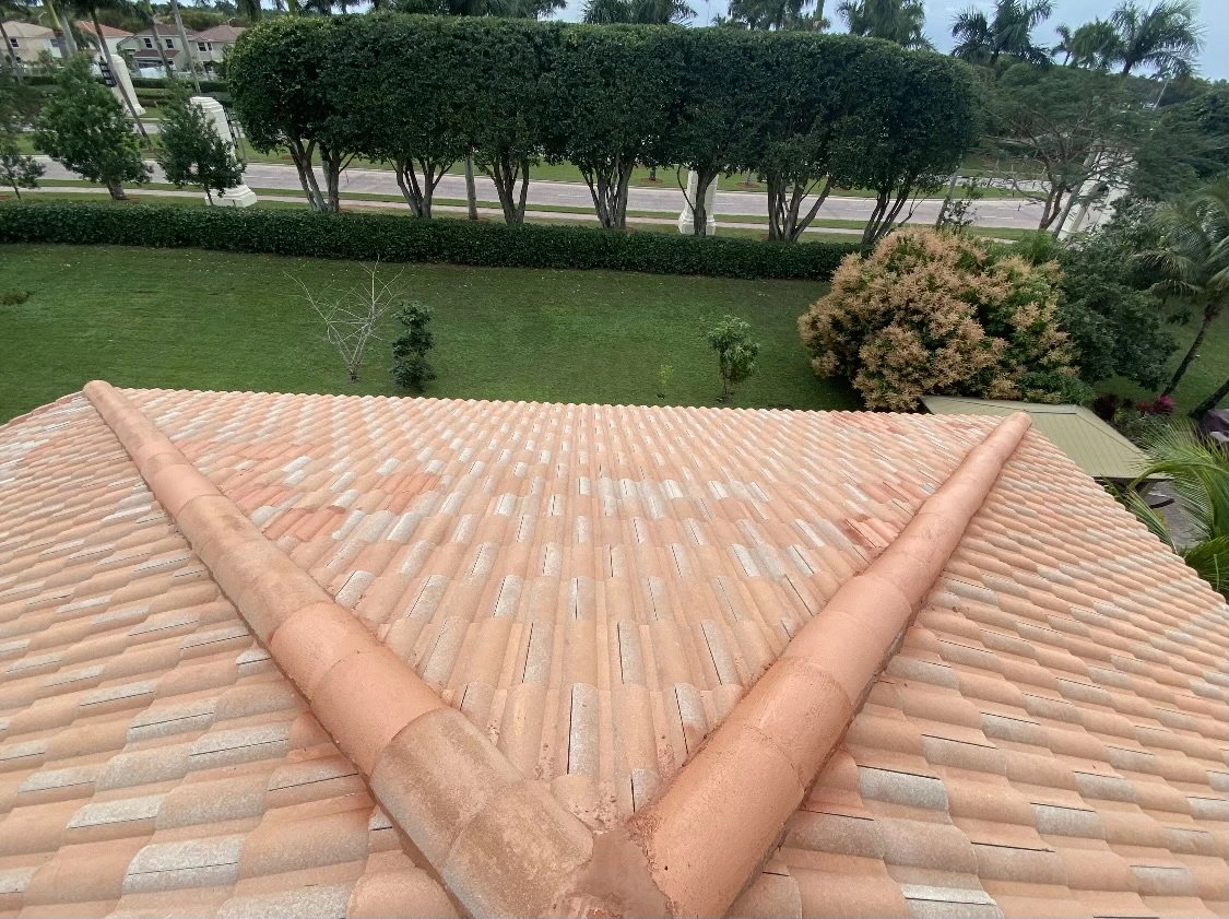 Florida Clean Roof