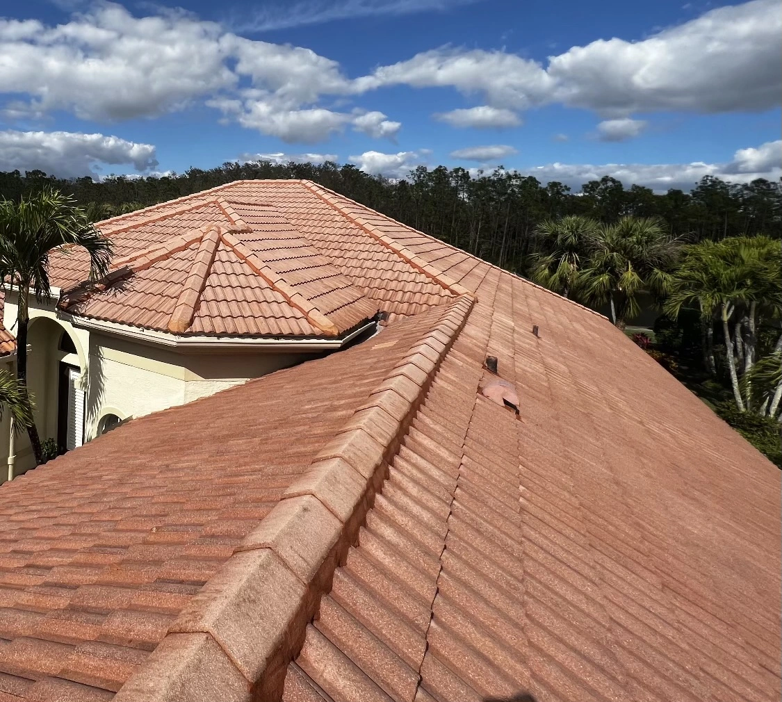 Florida Clean Roof