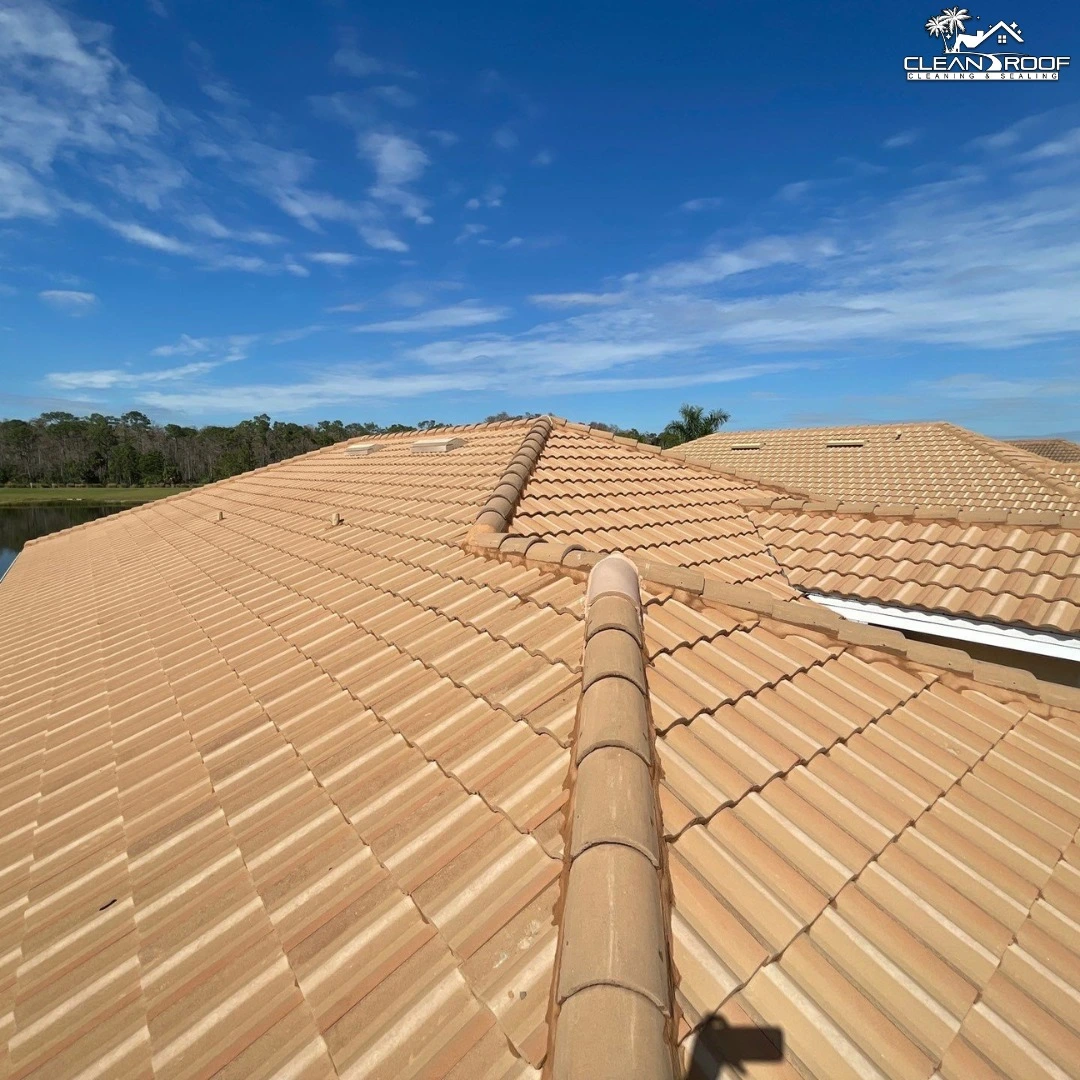 Florida Clean Roof