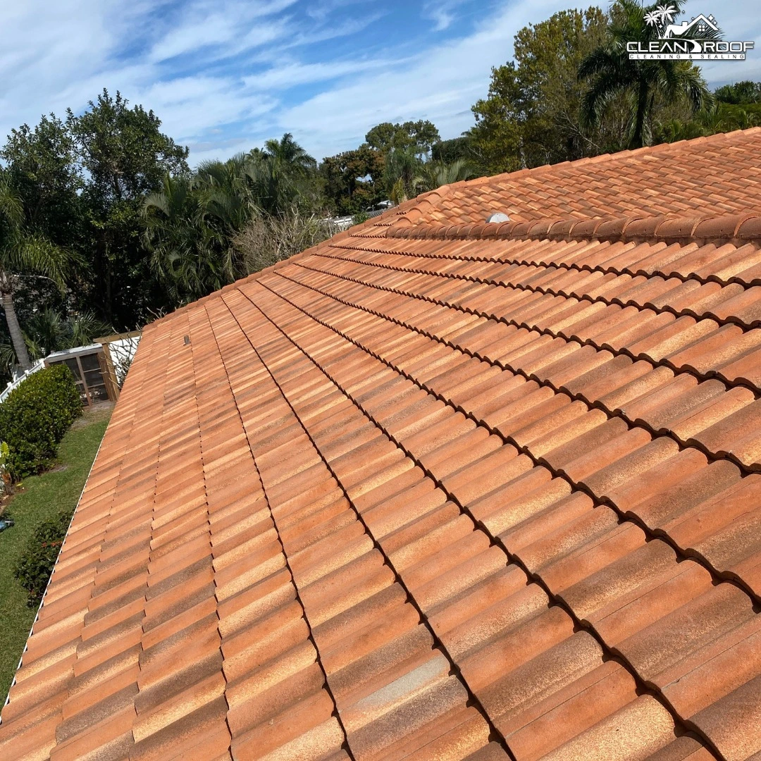 Florida Clean Roof