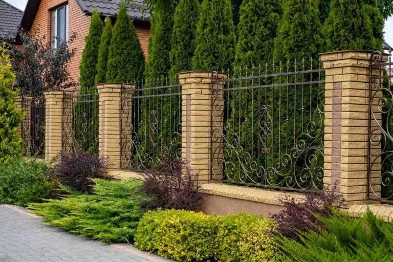 Top Rail Fence