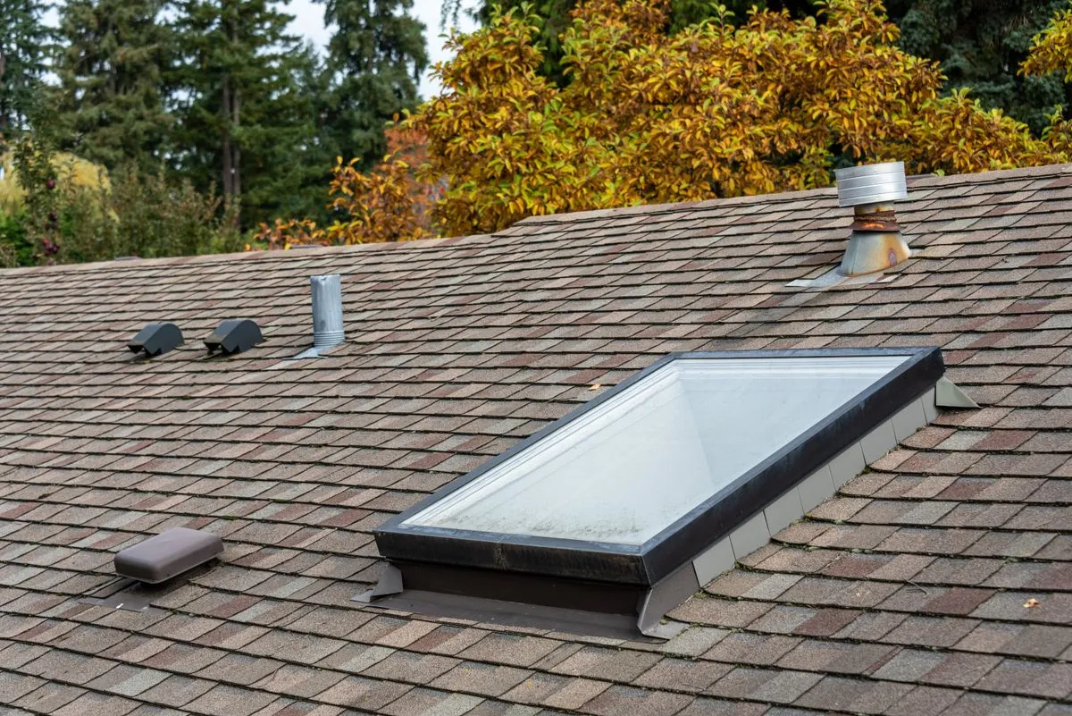 Sun Cat Skylights