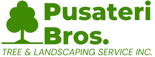 Pusateri Bros. Tree and Landscaping Service Inc.