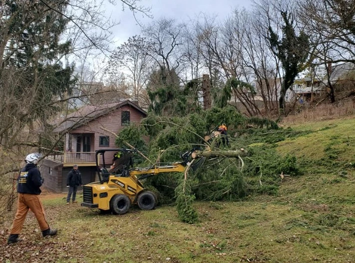 Pusateri Bros. Tree and Landscaping Service Inc.