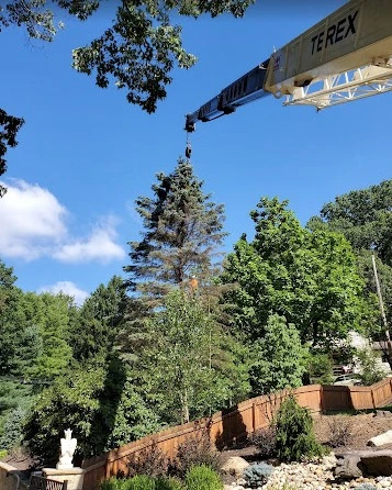 Pusateri Bros. Tree and Landscaping Service Inc.