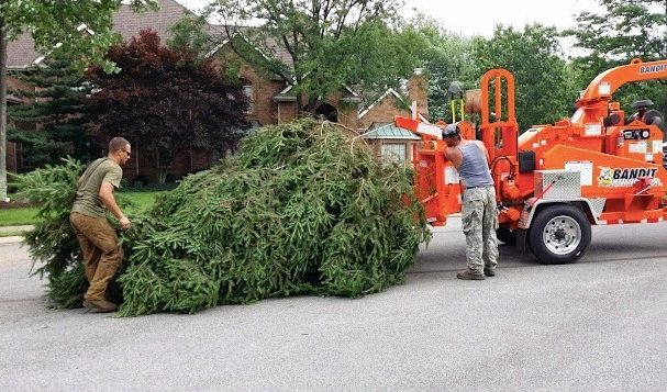 Pusateri Bros. Tree and Landscaping Service Inc.