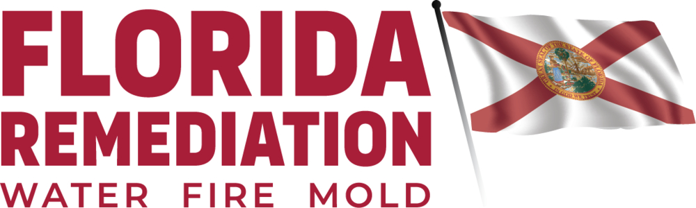 Florida Remediation Pros